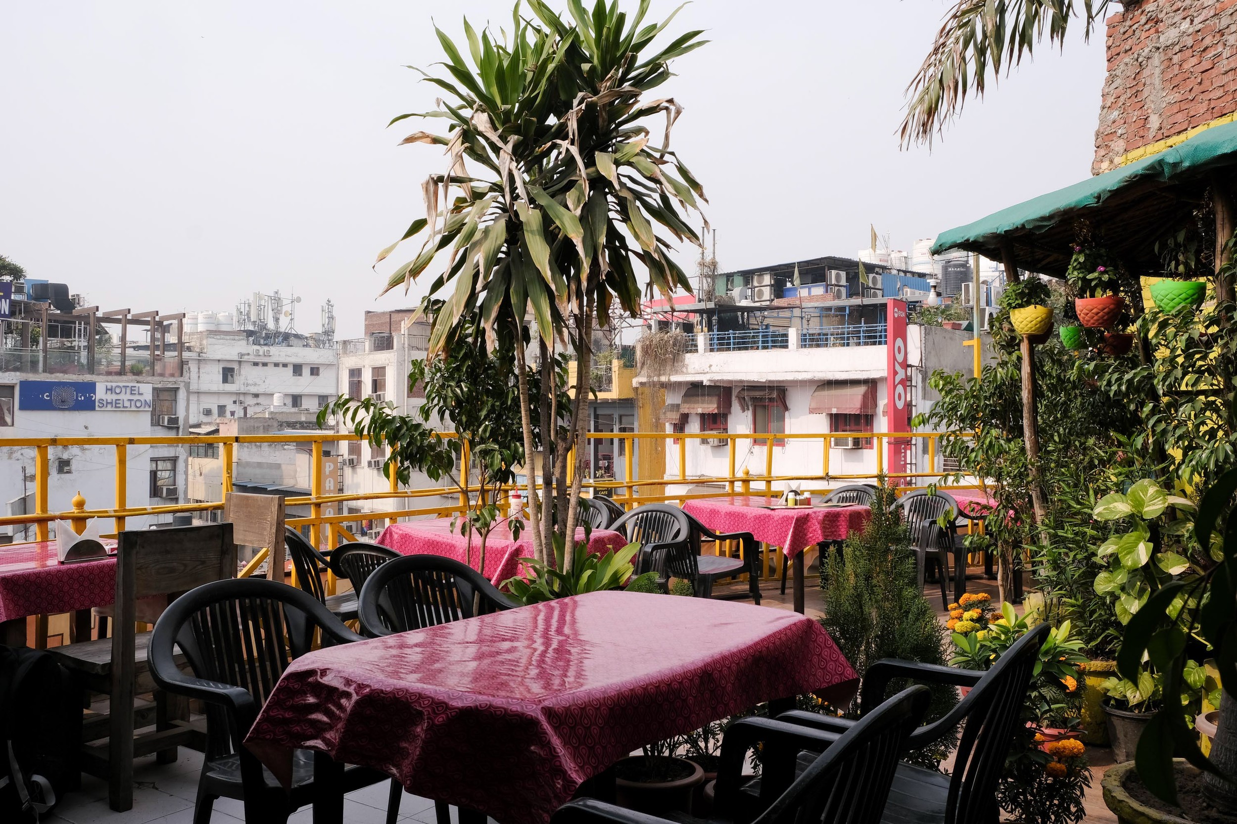 Adele Akhunova - Photo 4