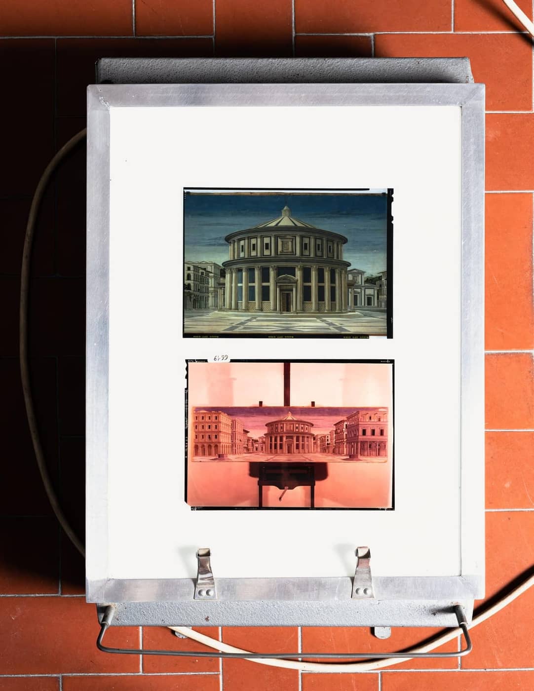 Alessio Pellicoro - Photo 3