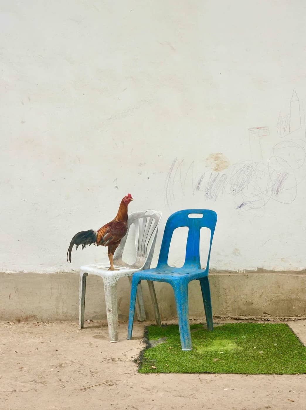 Alex Humphrey - Photo 1