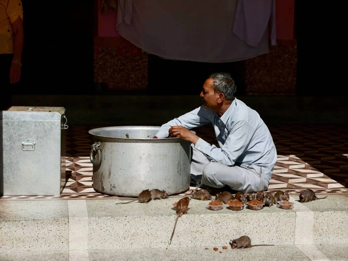 Alex Humphrey - Photo 3