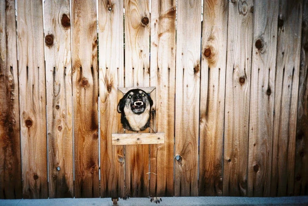 Alex Legolvan - Photo 3