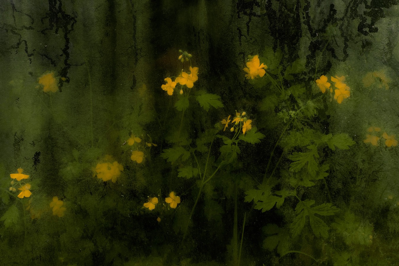 Anthony Bockheim - Photo 1