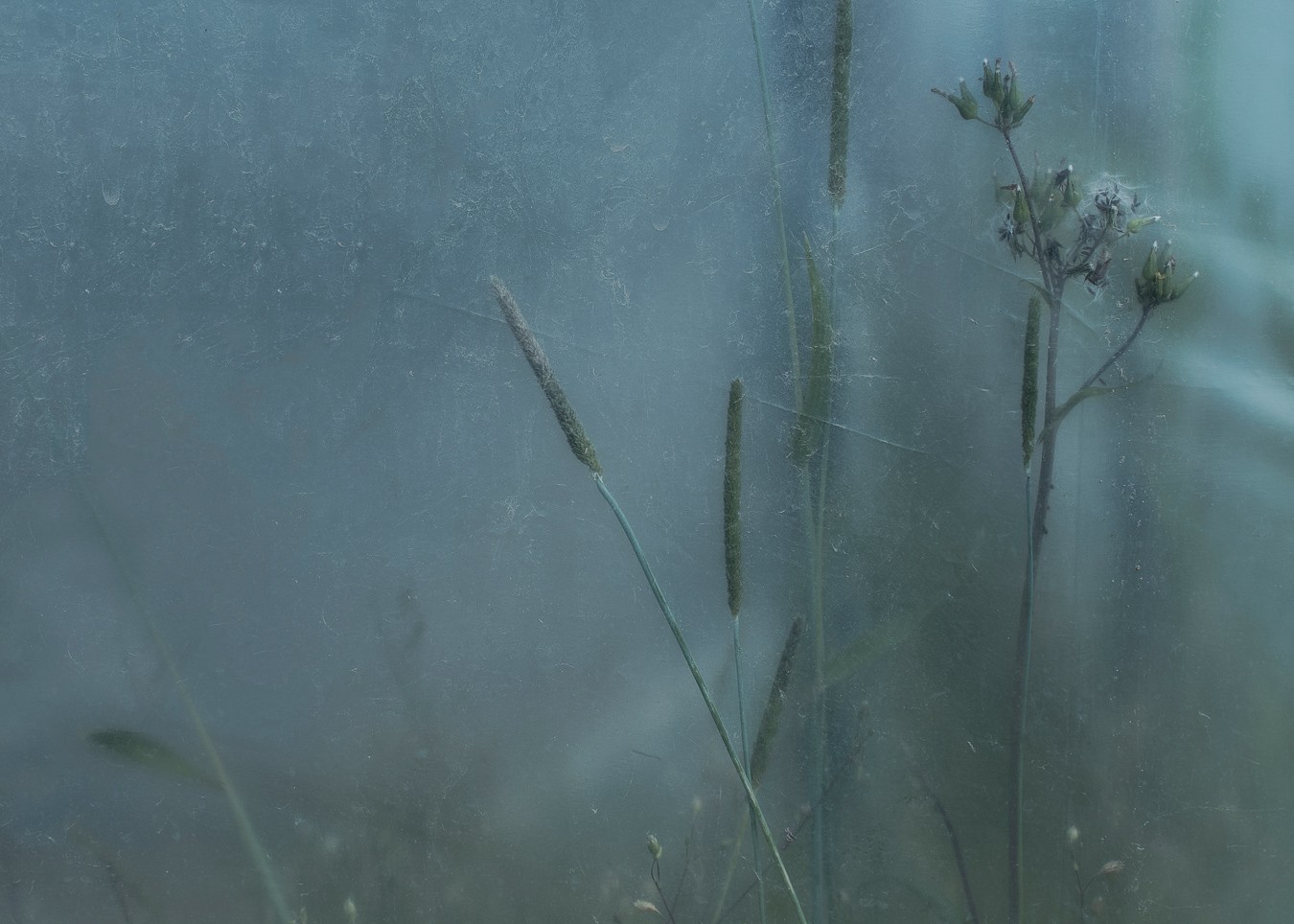 Anthony Bockheim - Photo 4