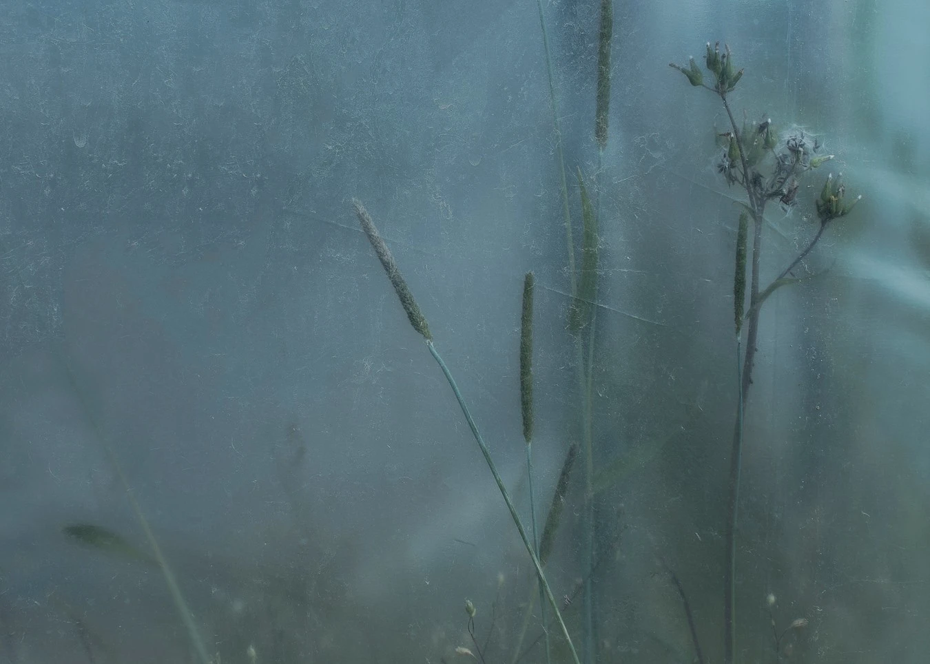 Anthony Bockheim - Photo 4