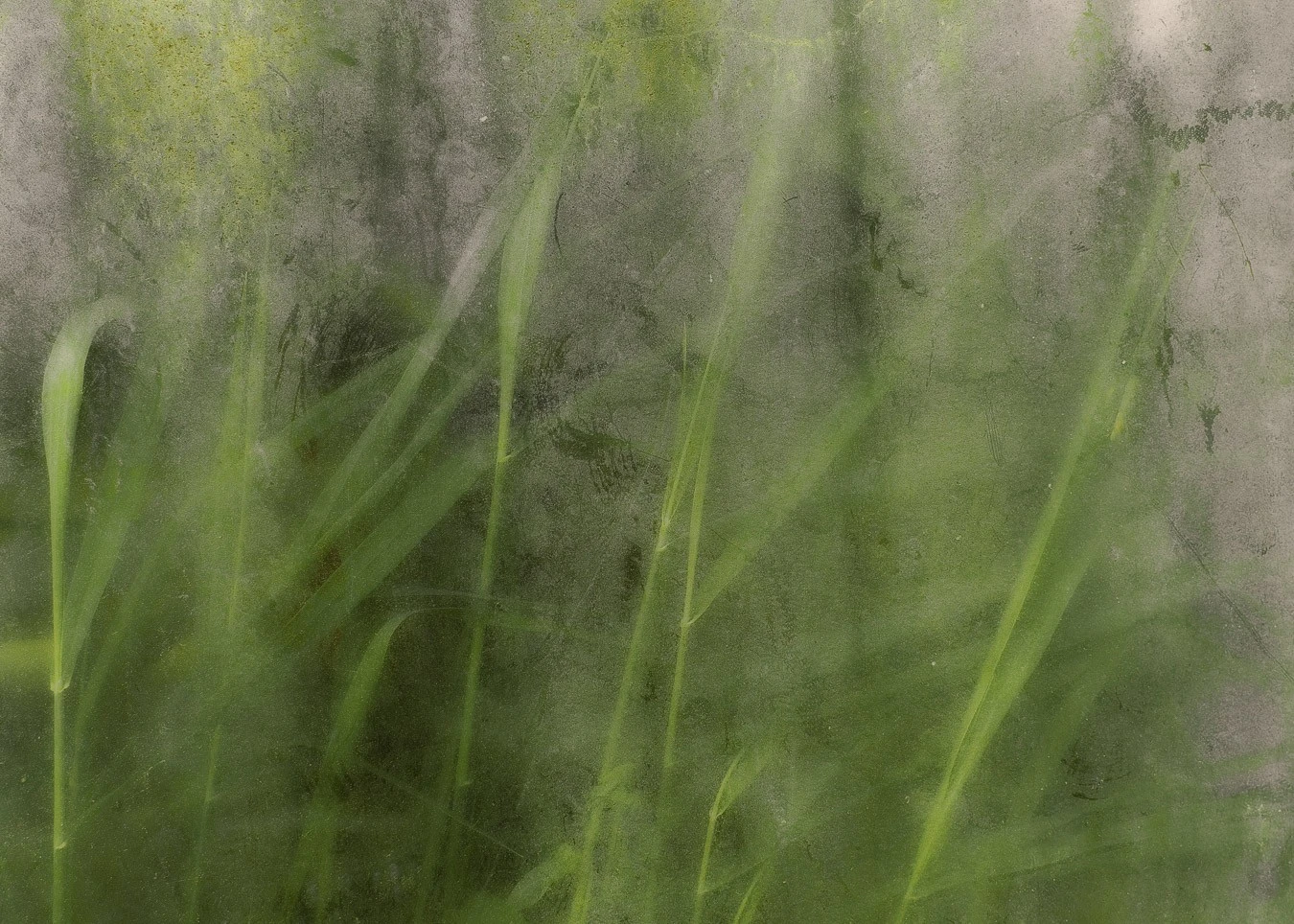 Anthony Bockheim - Photo 5