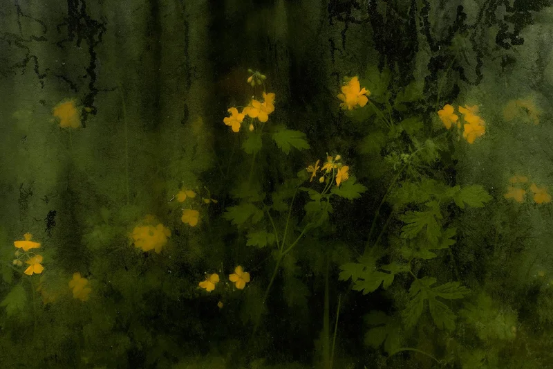 Anthony Bockheim - Photo 1