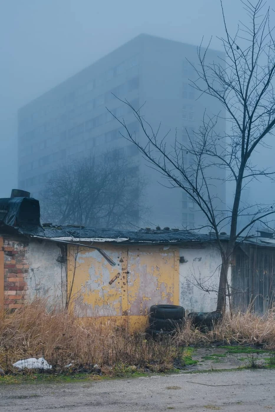 Antti Sinitsyn - Photo 4