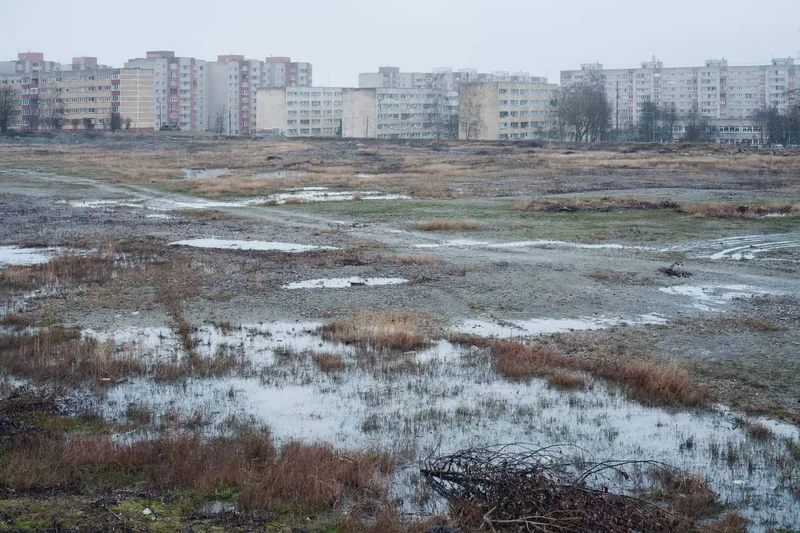 Antti Sinitsyn - Photo 1