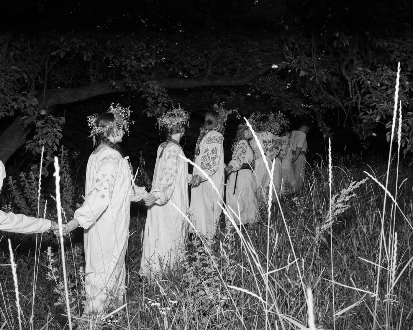 Aria Shahrokhshahi - Photo 3