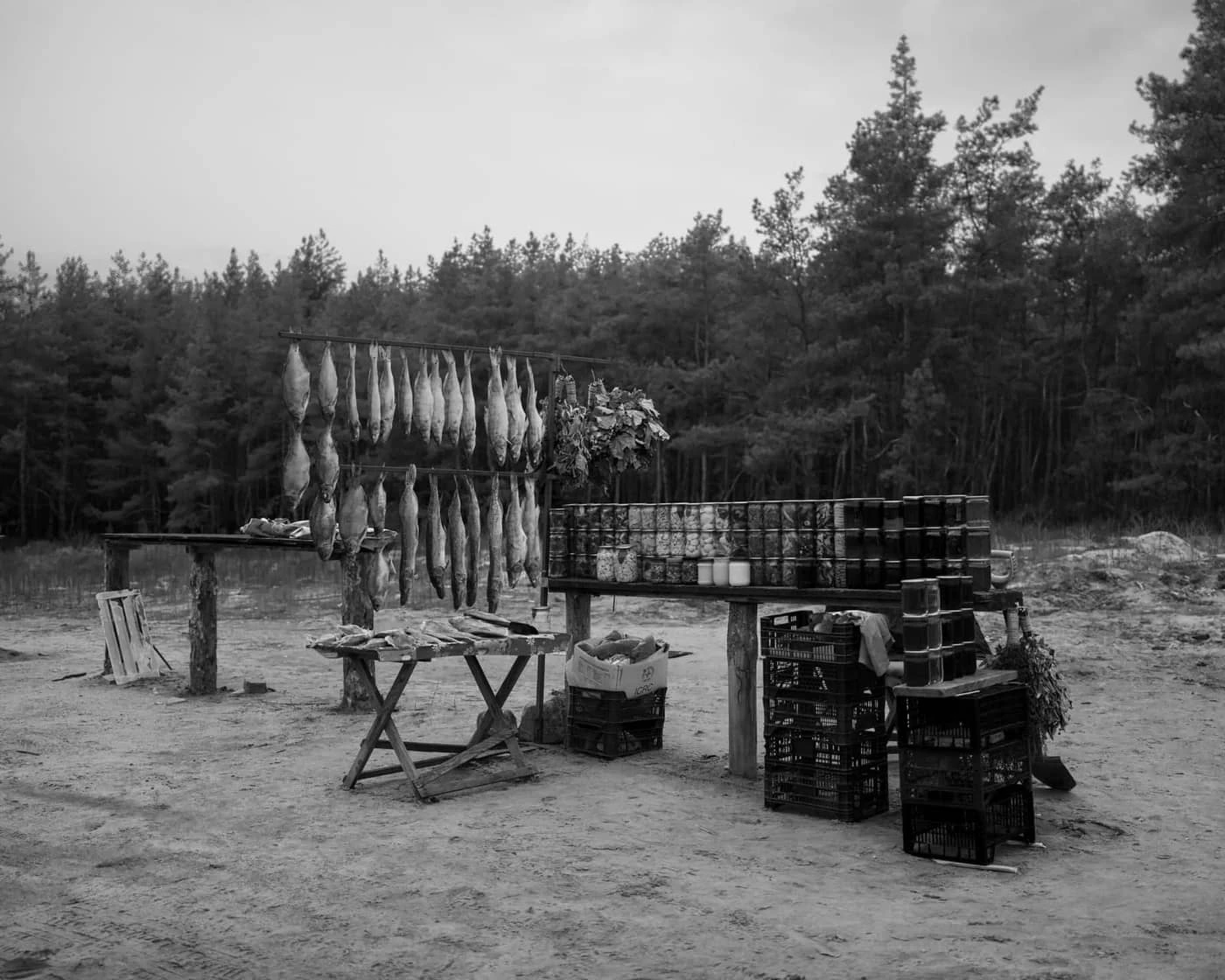 Aria Shahrokhshahi - Photo 5