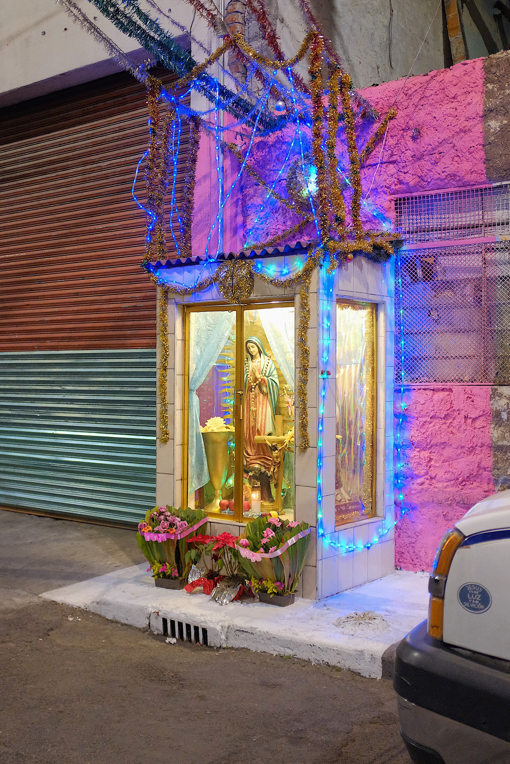 Arianna Marzioli - Photo 2