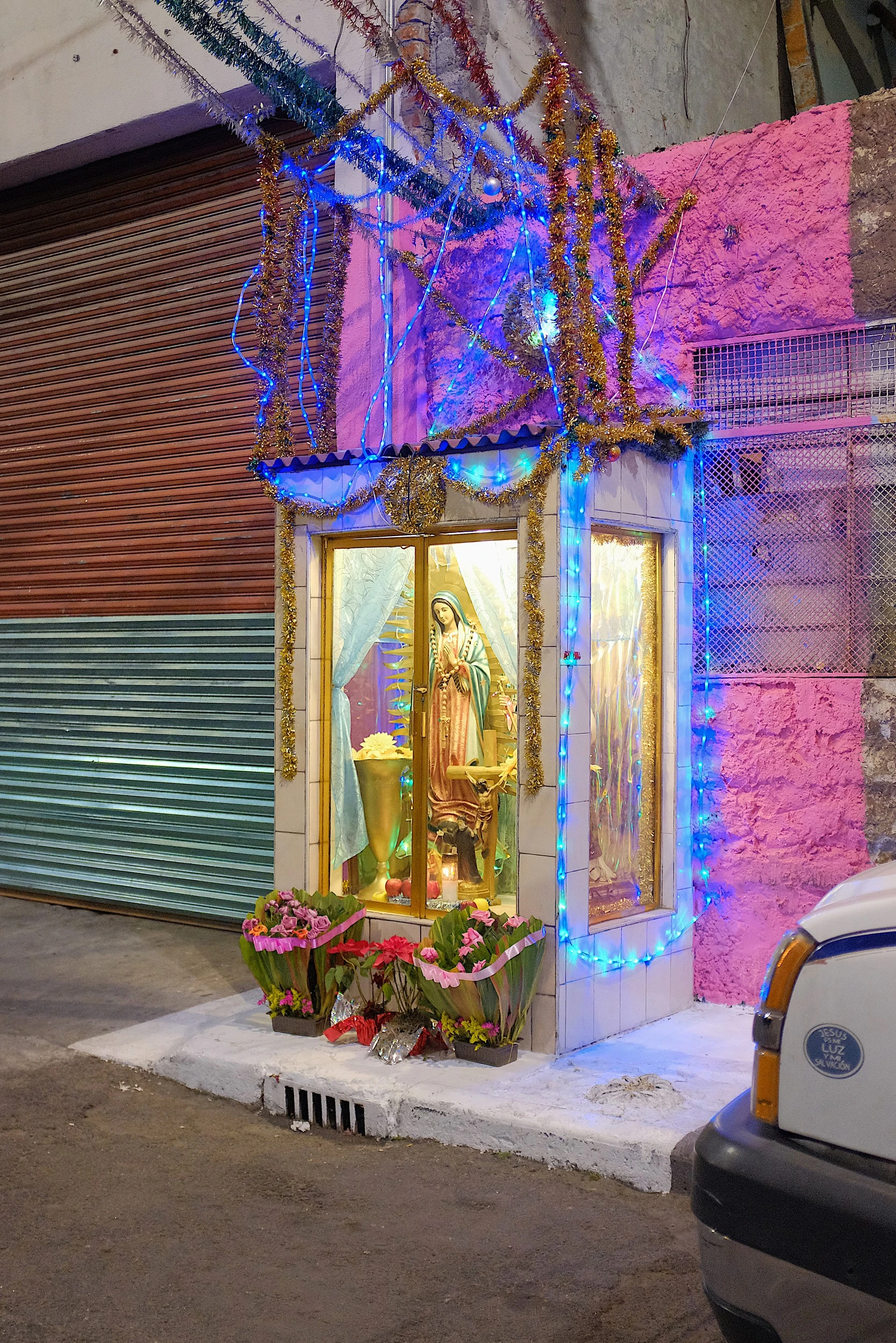 Arianna Marzioli - Photo 2