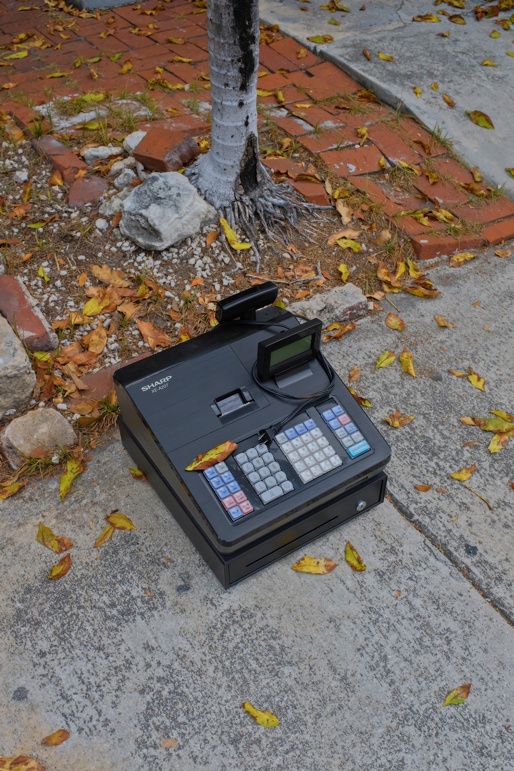 Arianna Marzioli - Photo 3