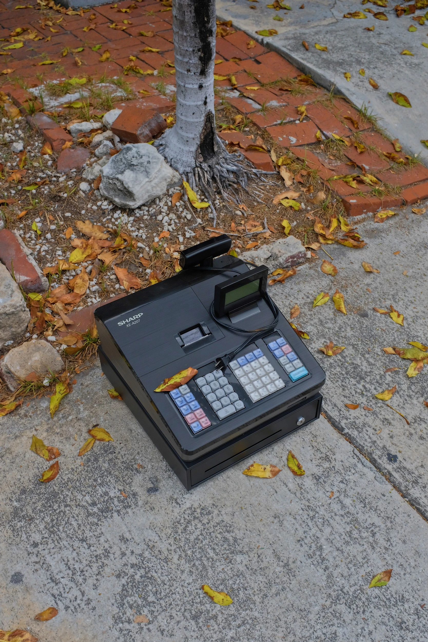 Arianna Marzioli - Photo 3