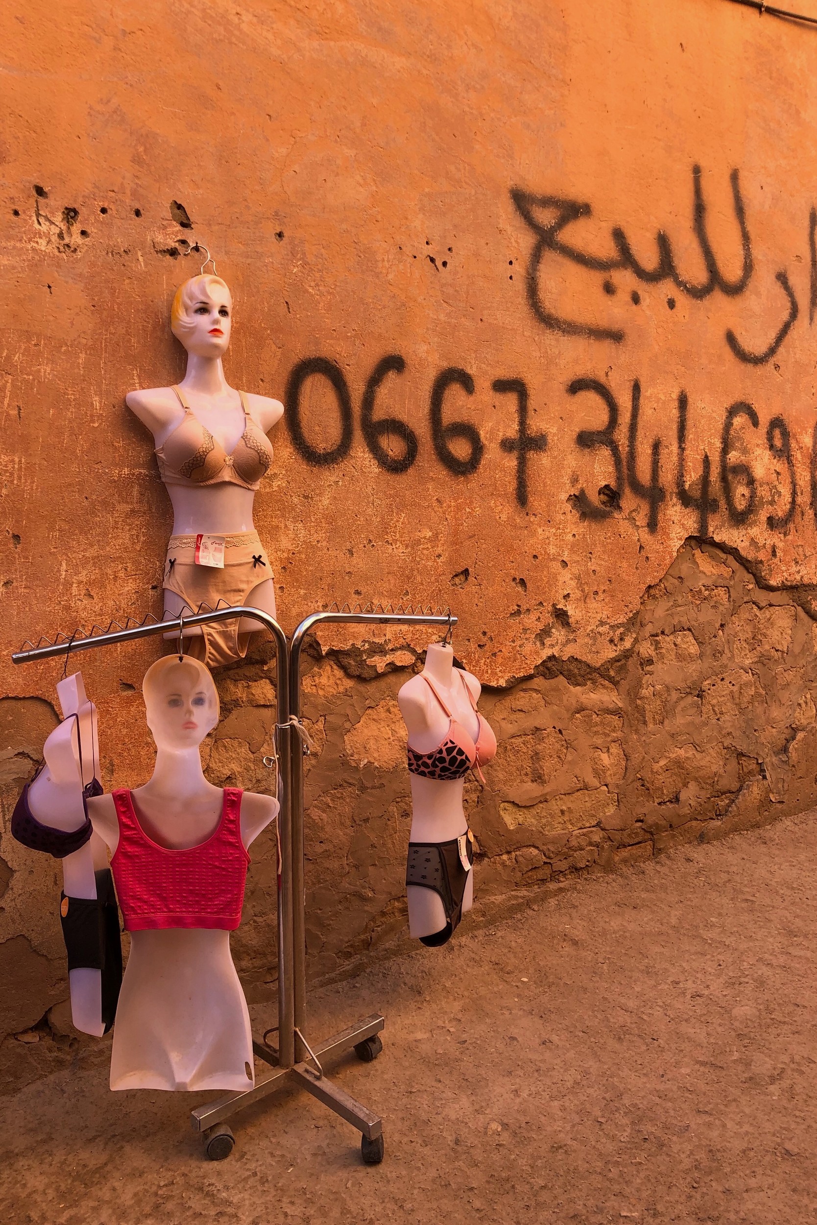 Arianna Marzioli - Photo 4