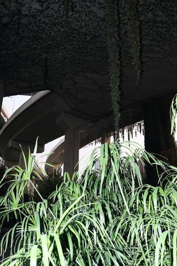 Armin Sillo - Photo 5