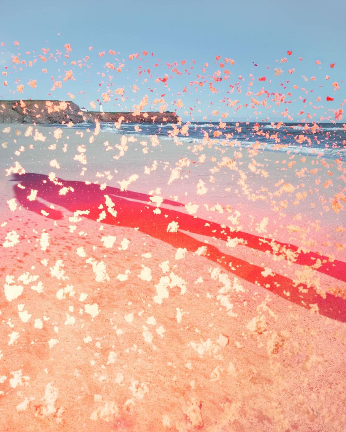 Benoit Paille - Photo 1