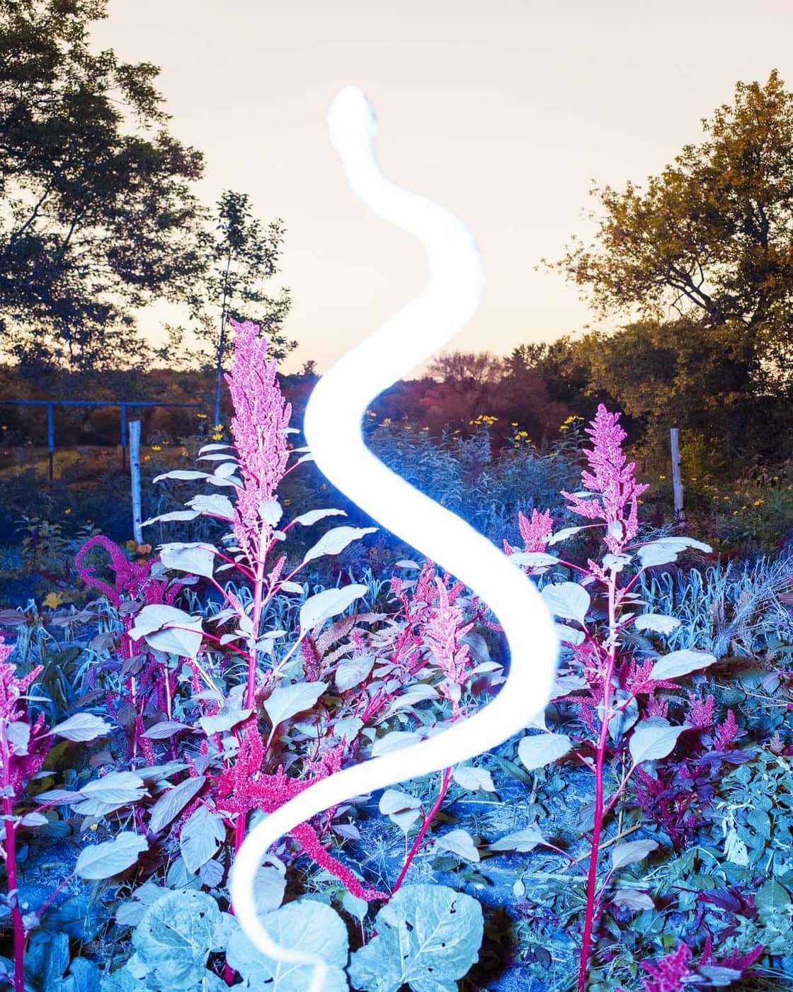 Benoit Paille - Photo 5