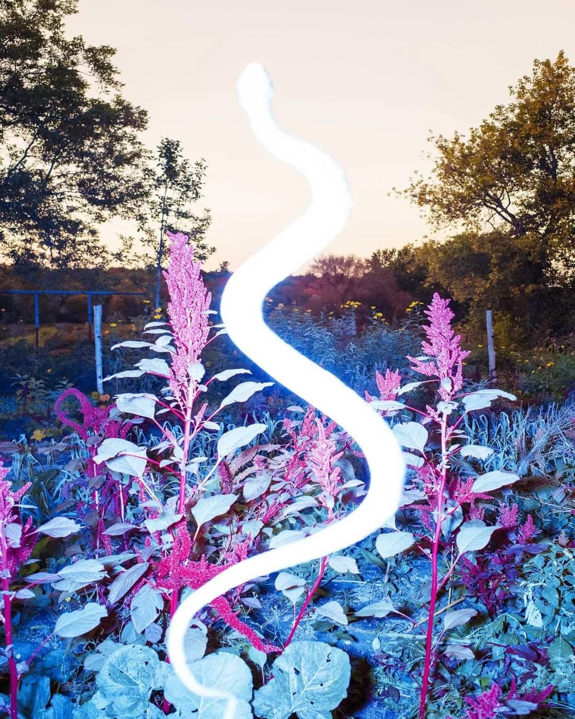 Benoit Paille - Photo 5