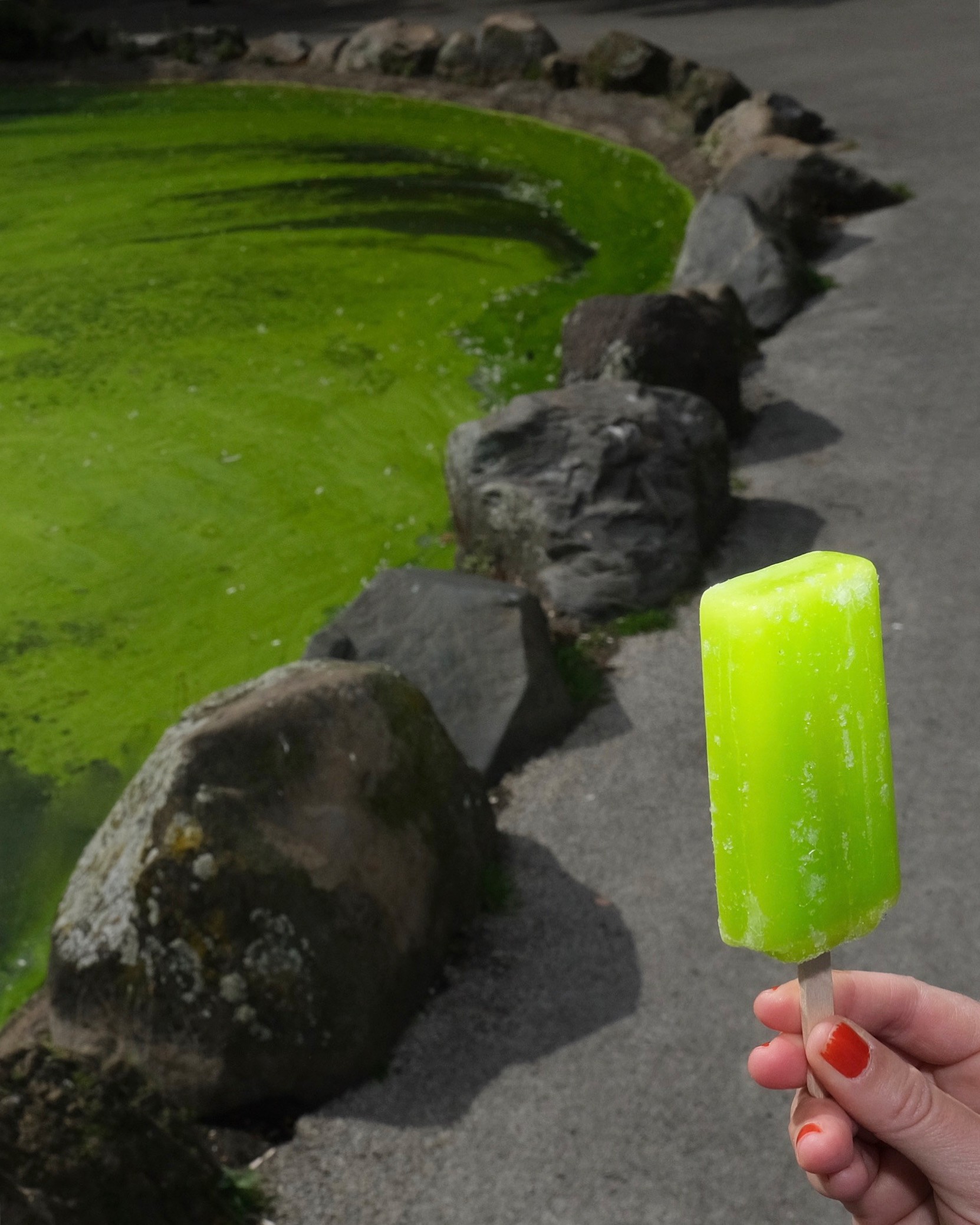 Bobby Beasley - Photo 5