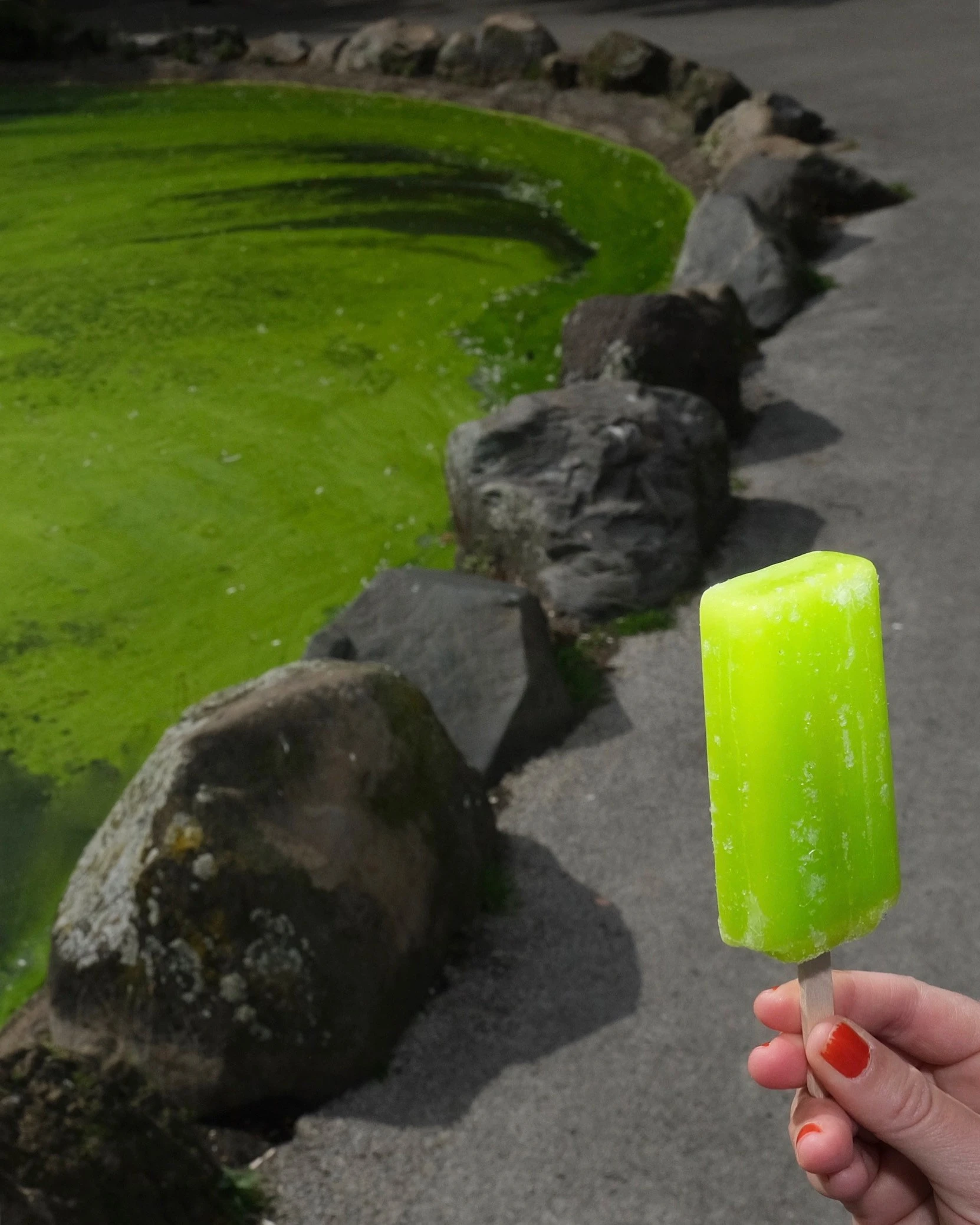 Bobby Beasley - Photo 5