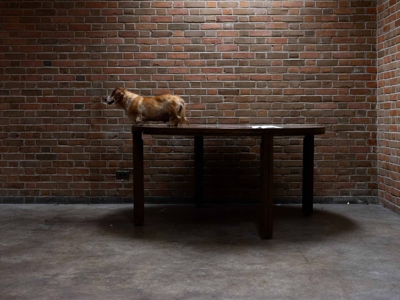 Bucky Miller - Photo 3