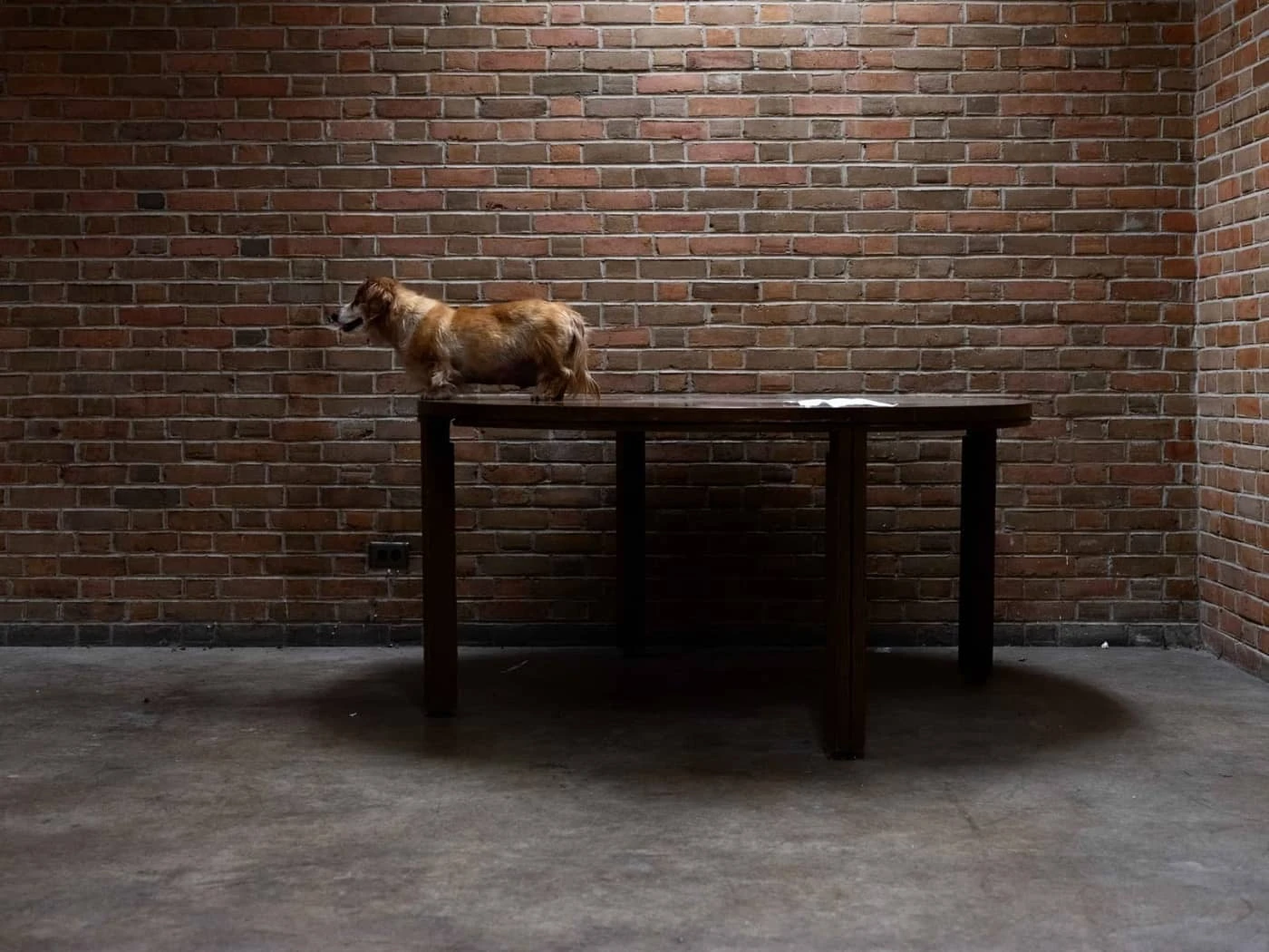 Bucky Miller - Photo 3