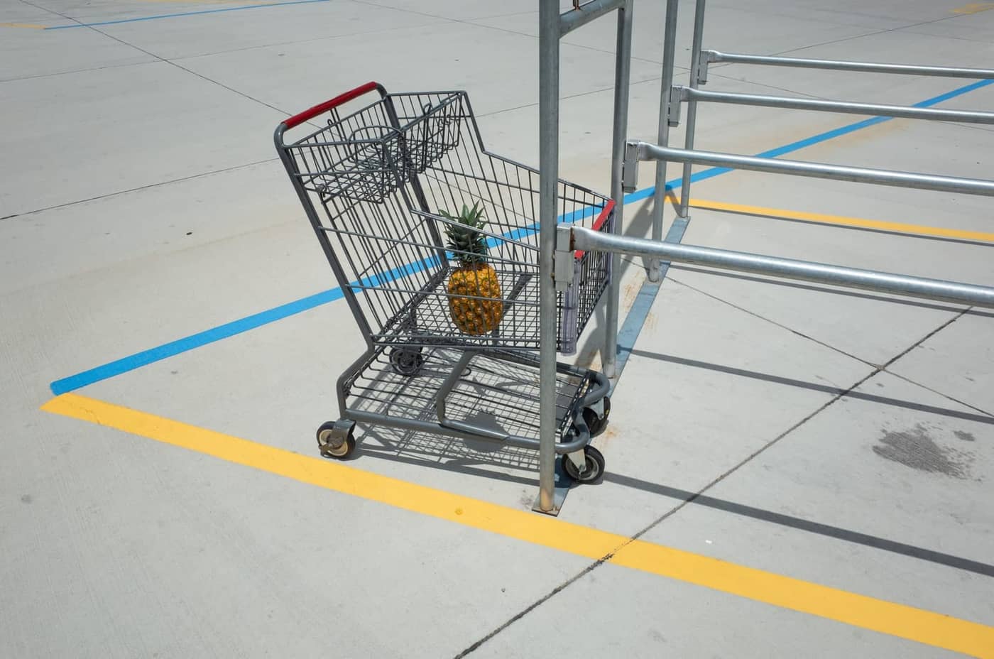 Bucky Miller - Photo 6