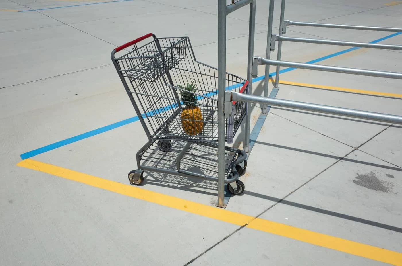 Bucky Miller - Photo 6