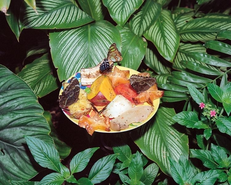 Caleb Churchill - Photo 1