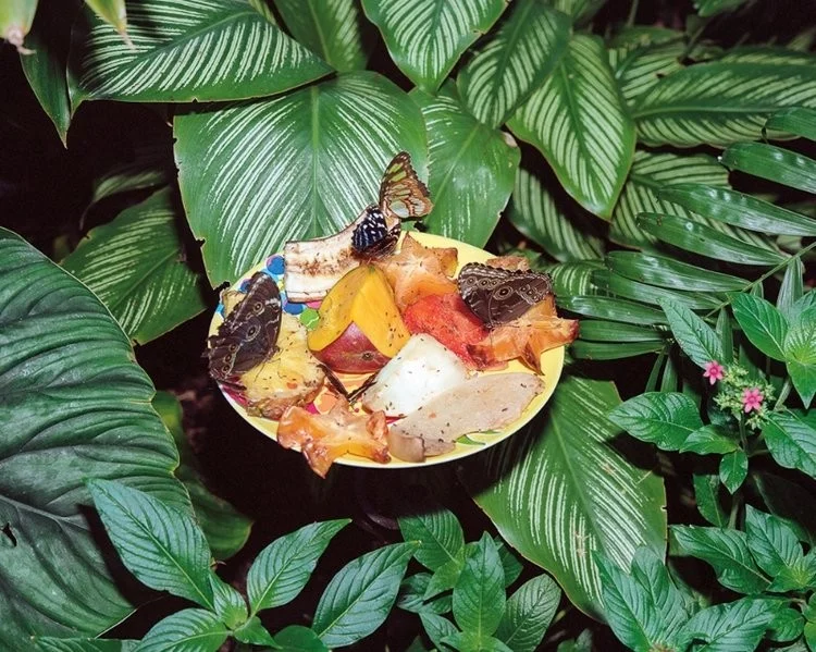 Caleb Churchill - Photo 1