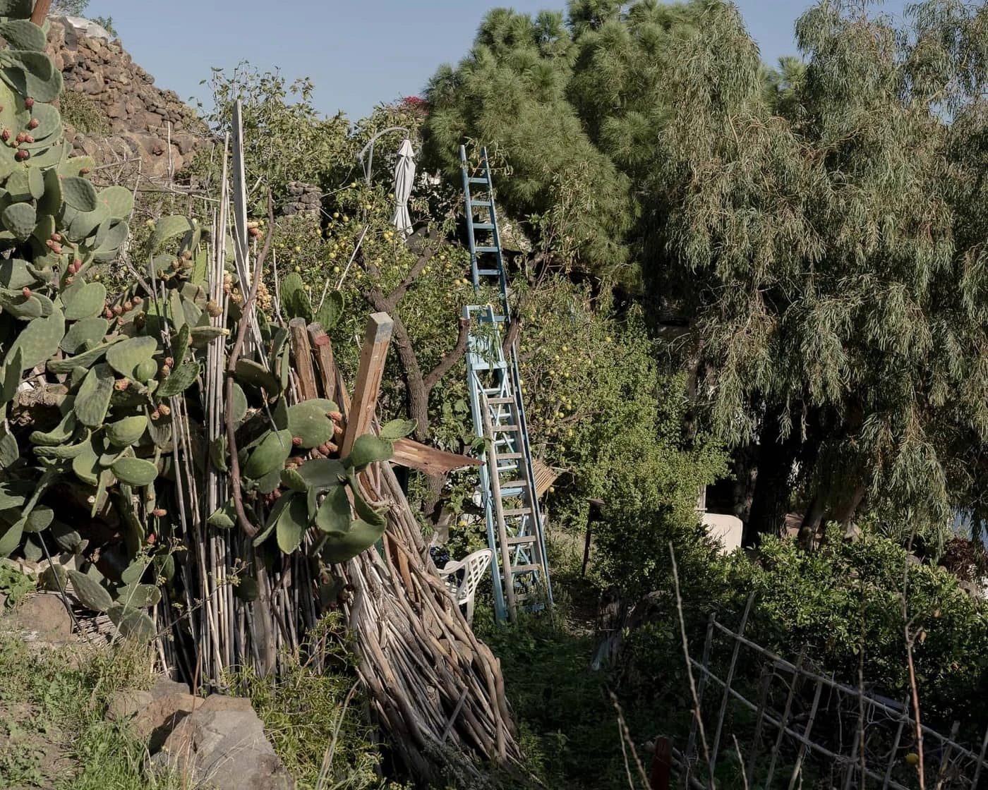 Camilla Marrese + Gabriel Chiapparini - Photo 1