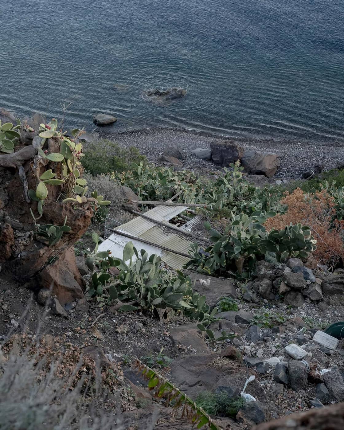 Camilla Marrese + Gabriel Chiapparini - Photo 3