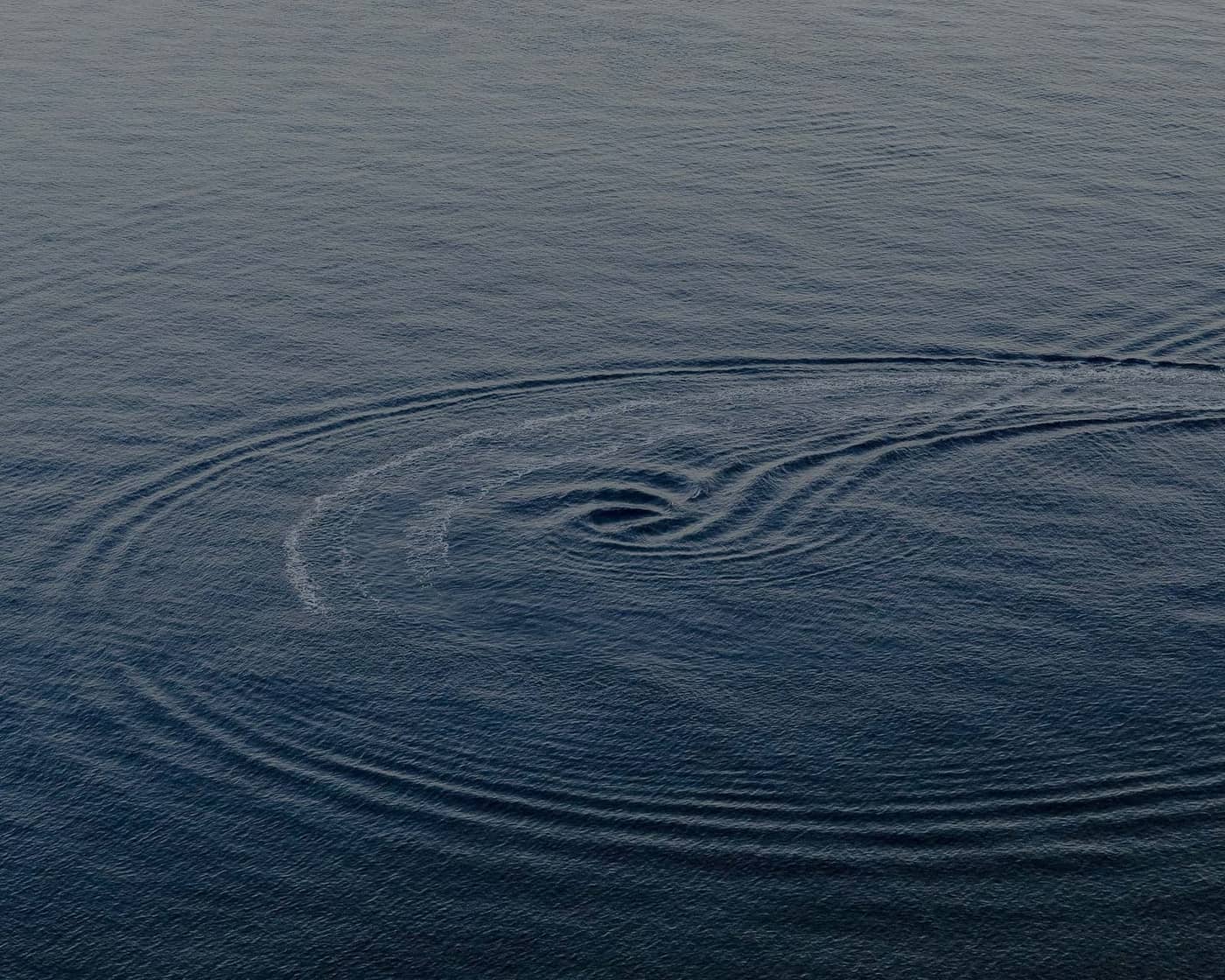 Camilla Marrese + Gabriel Chiapparini - Photo 4