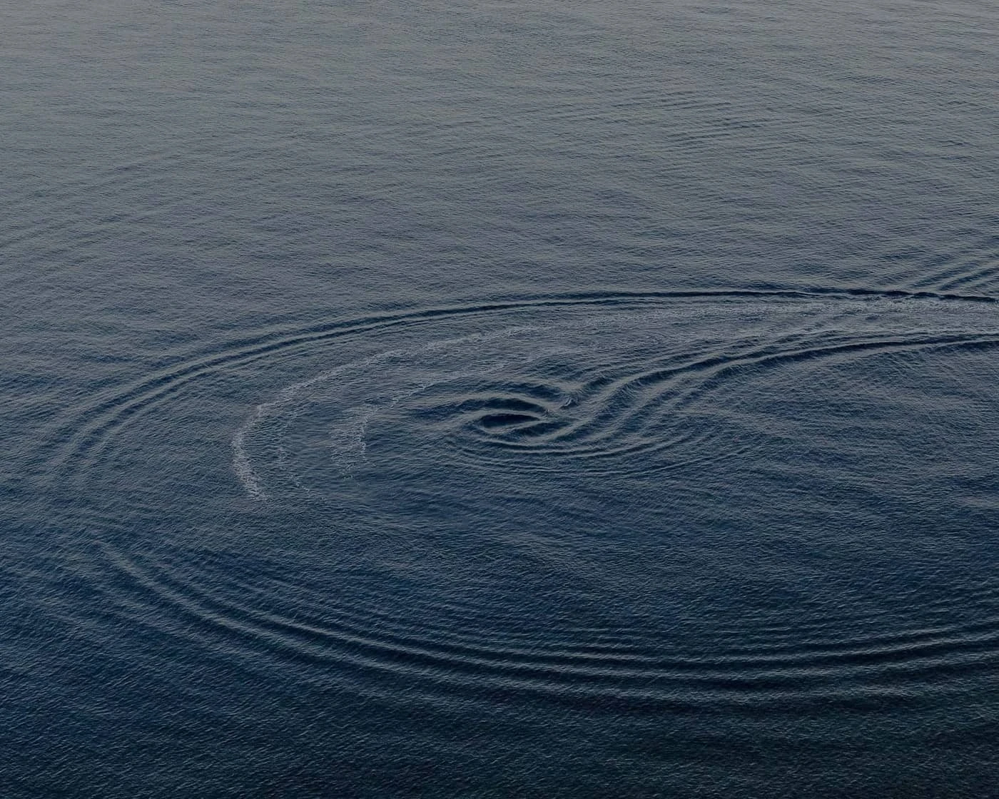 Camilla Marrese + Gabriel Chiapparini - Photo 4