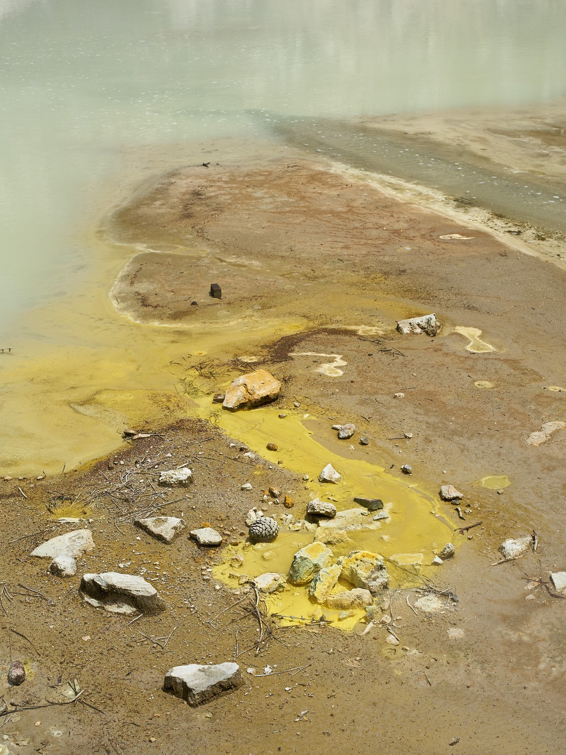 Carola Plöchinger - Photo 1