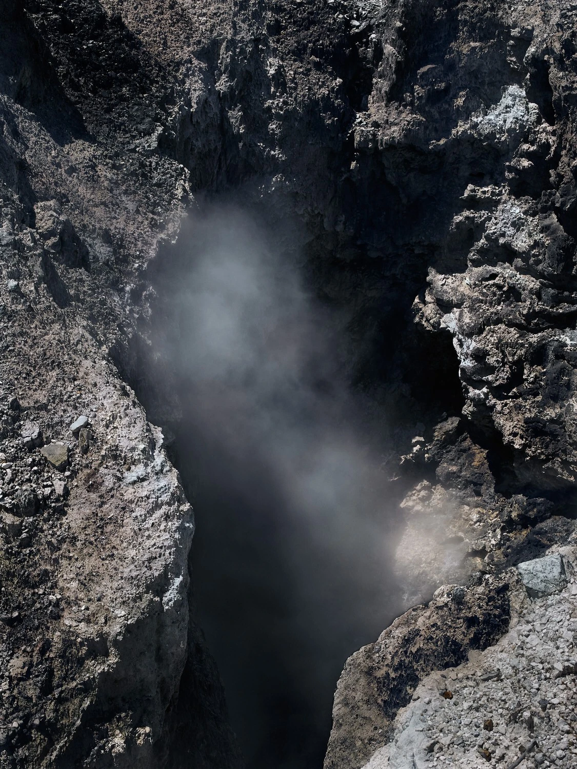 Carola Plöchinger - Photo 5