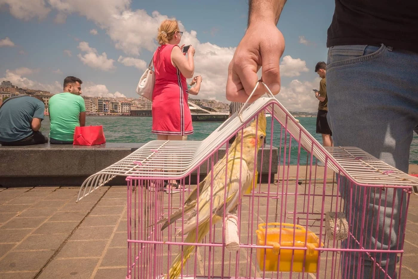 Cenk Erdoğan - Photo 3