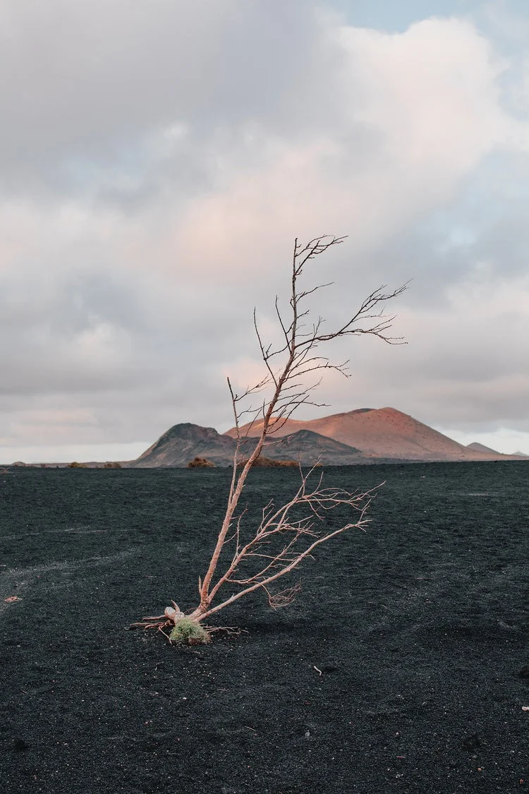 Chiara Zonca - Photo 1