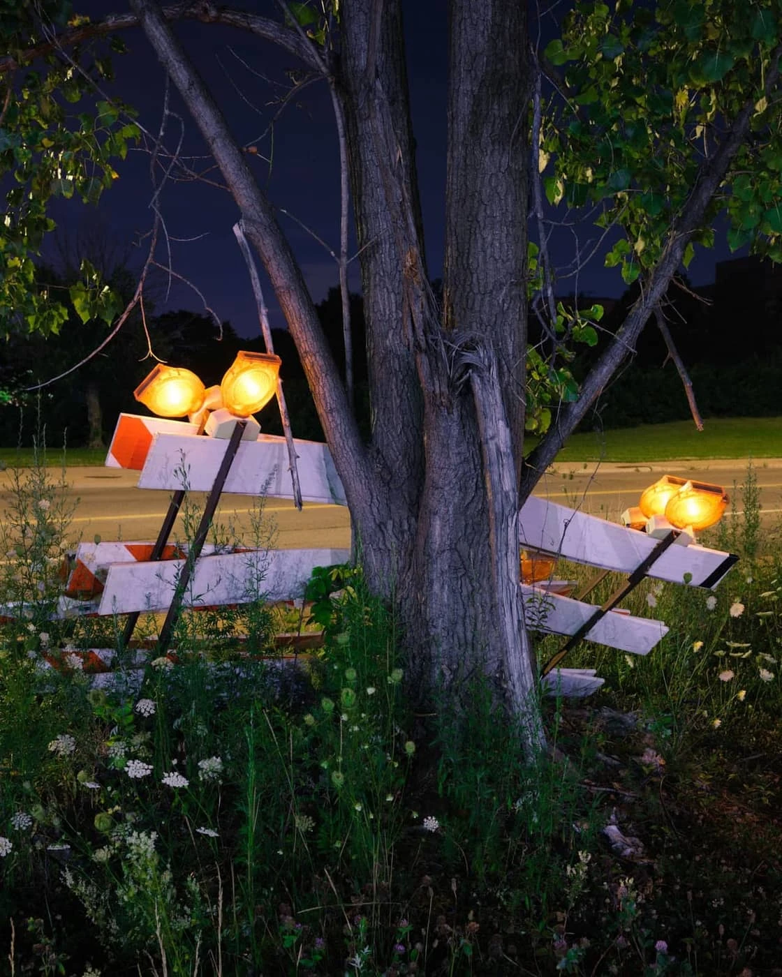 Chris Mollon - Photo 4