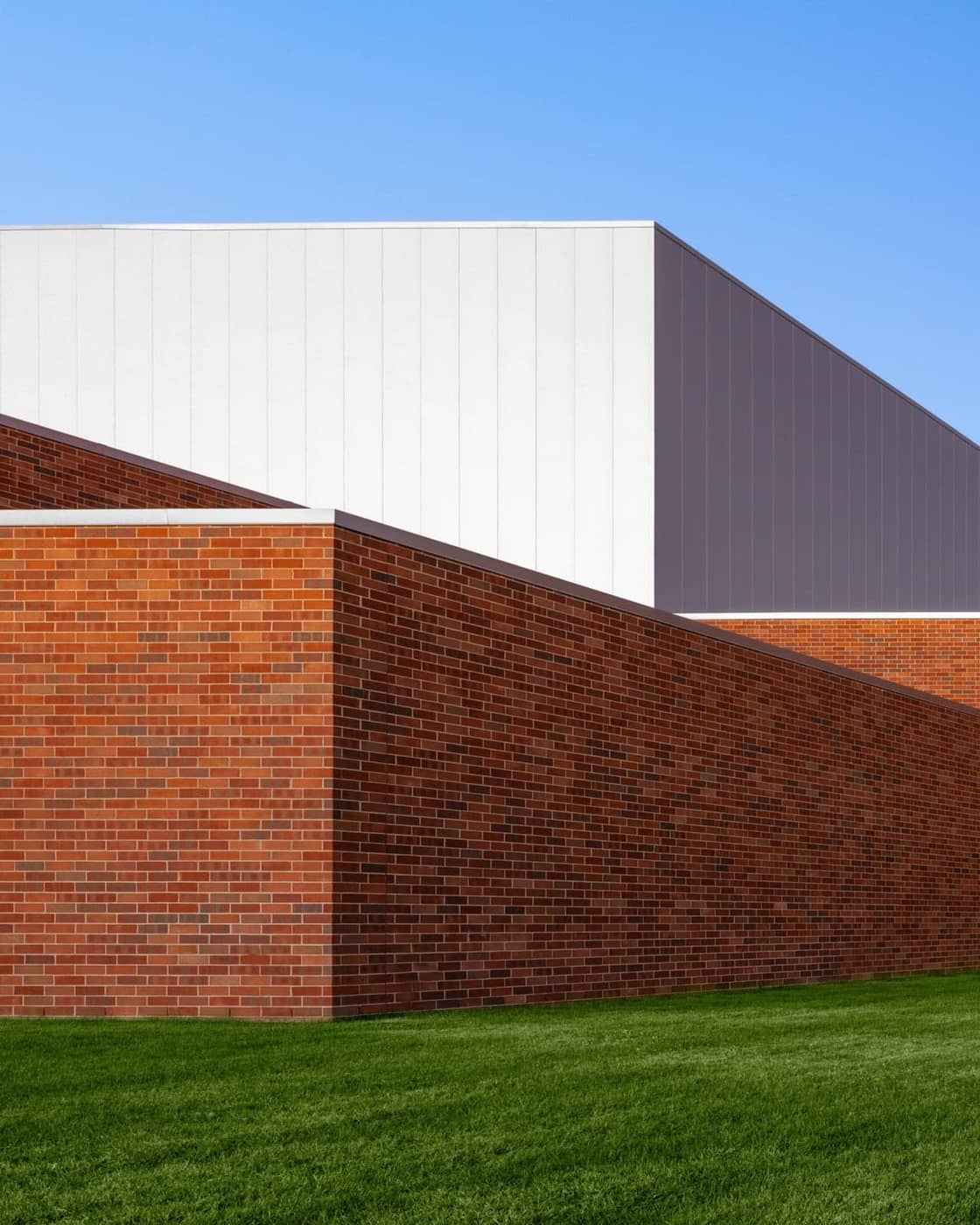 Chris Mollon - Photo 5