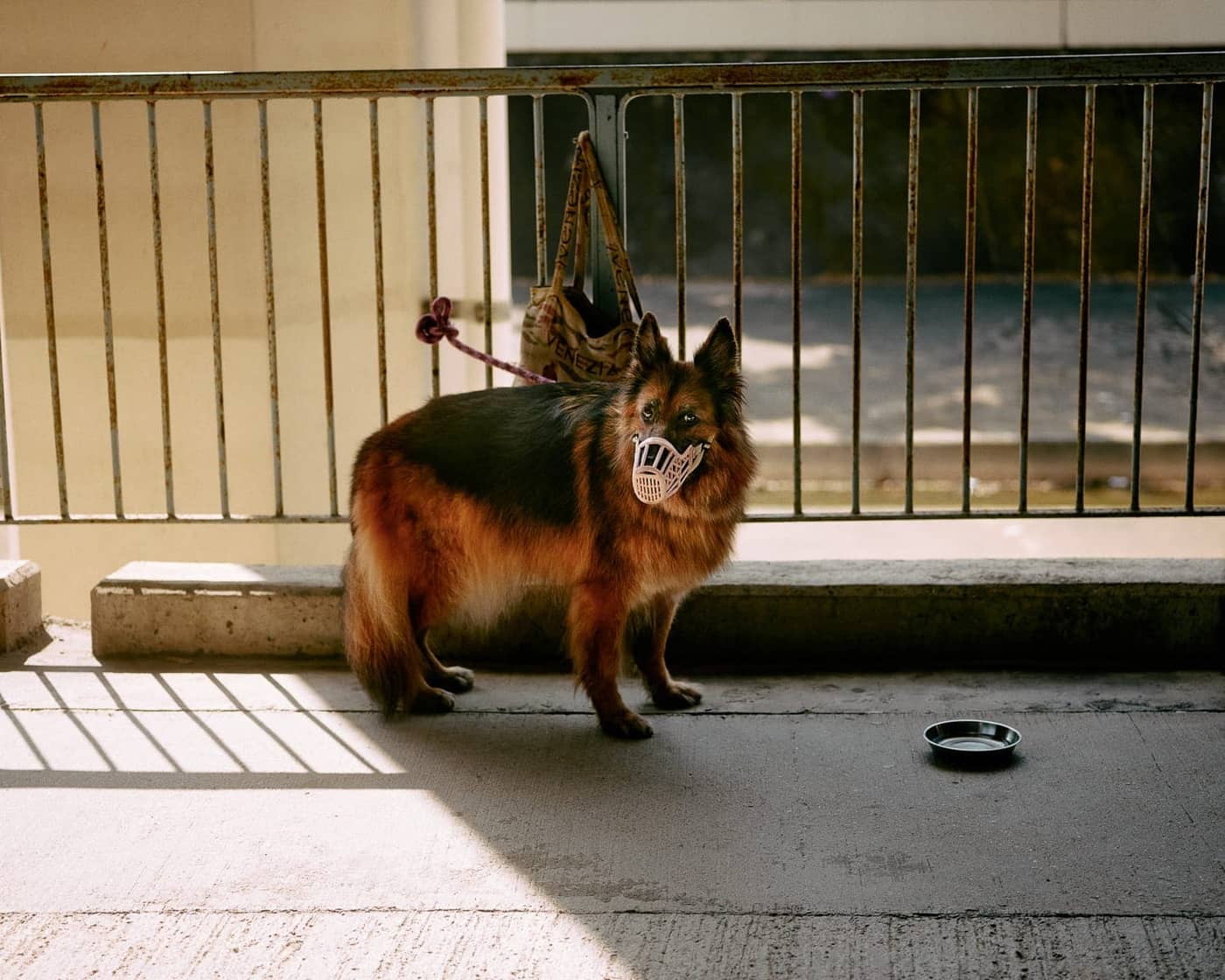 Chung Wai Wong - Photo 4