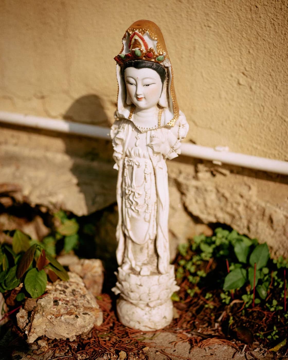 Chung Wai Wong - Photo 5