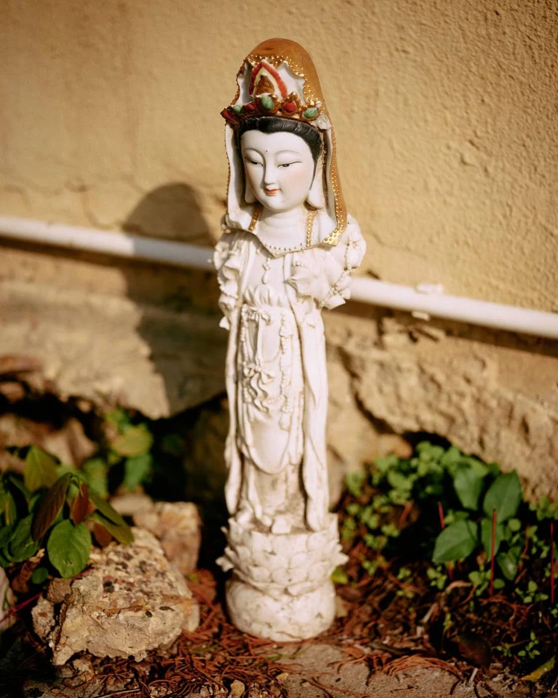 Chung Wai Wong - Photo 5