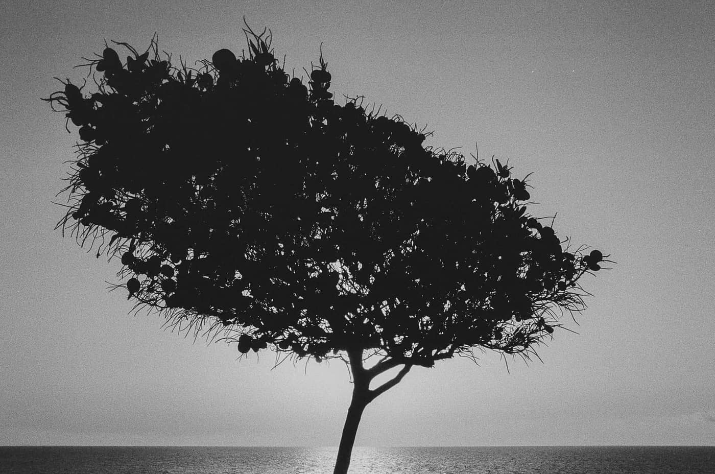 Claire Amaouche - Photo 4