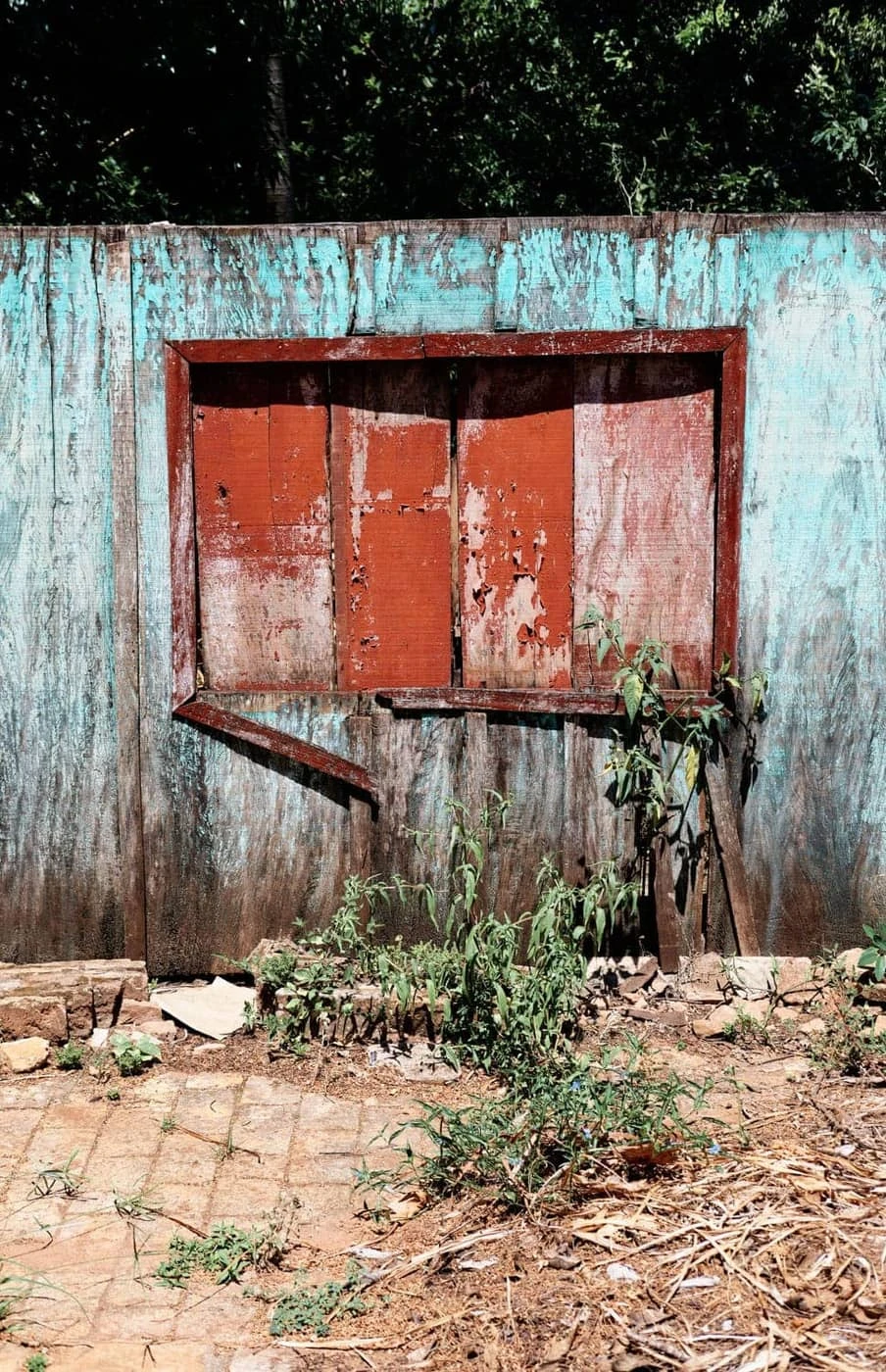 Colin Czerwinski - Photo 2