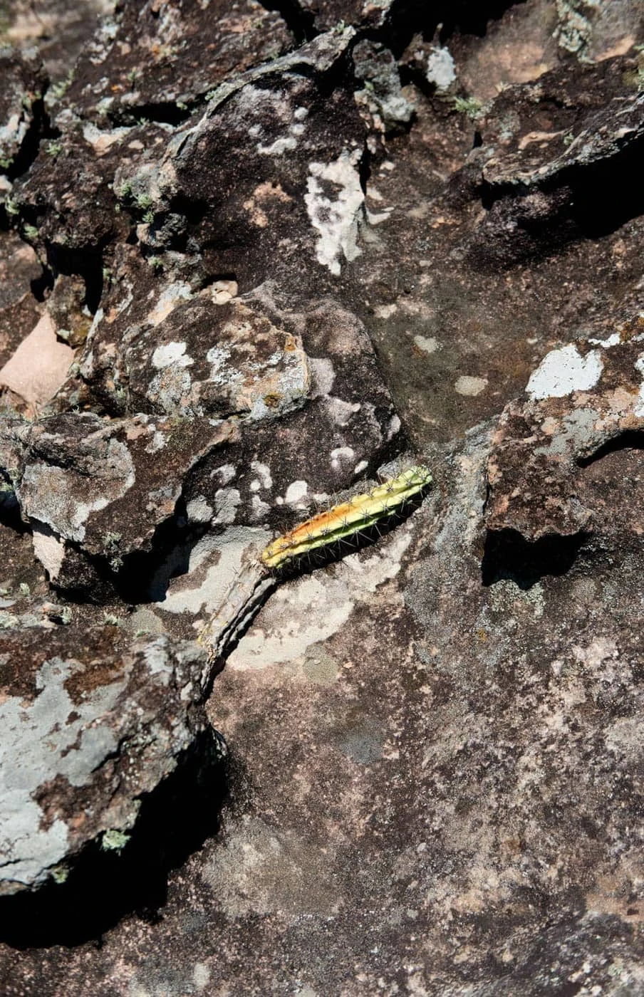 Colin Czerwinski - Photo 3