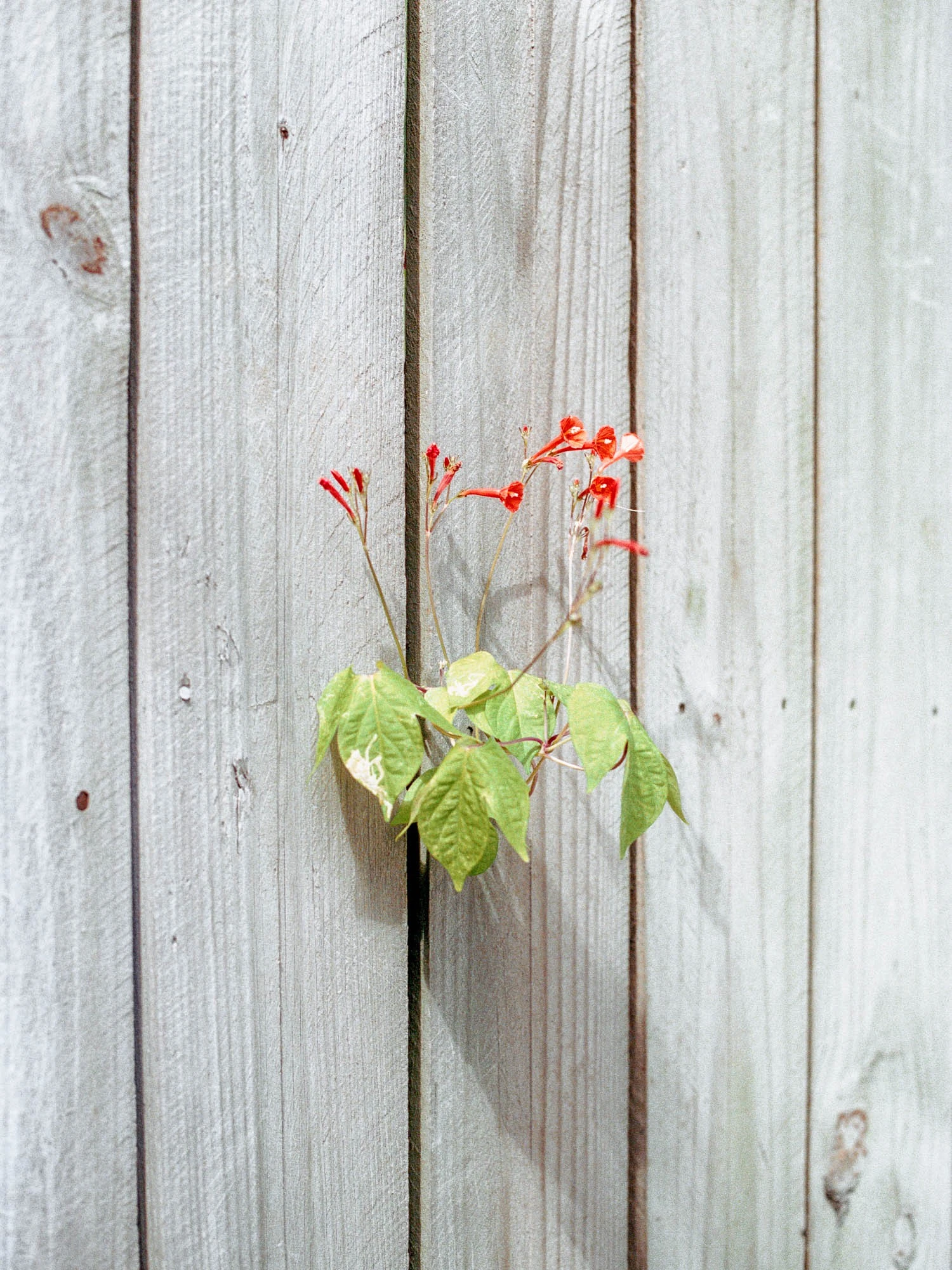 Colin Czerwinski - Photo 5