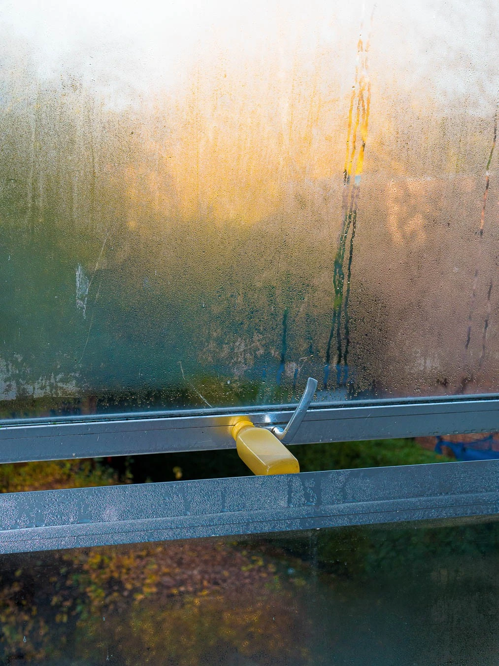 Colin Fincoeur - Photo 5