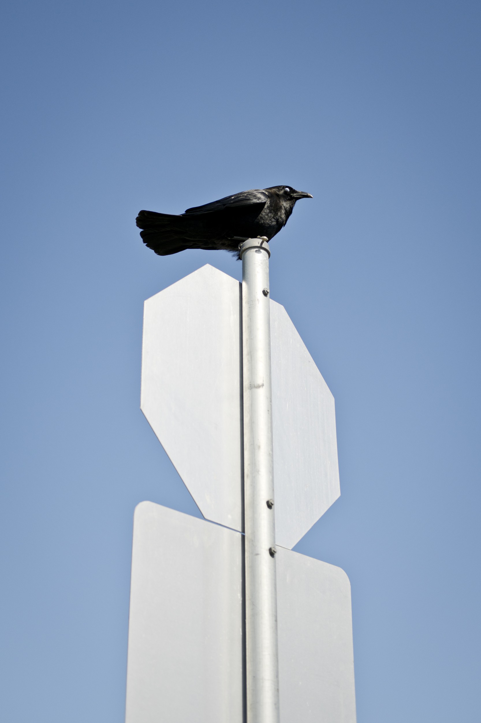 Corey Isenor - Photo 1